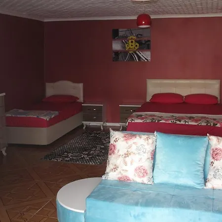Homestay Erol *